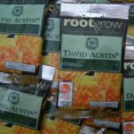 Rootgrow